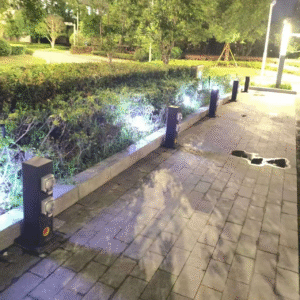 图片 3 1 e1761034036696