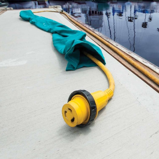 Defining Electric Shock Drowning (ESD)