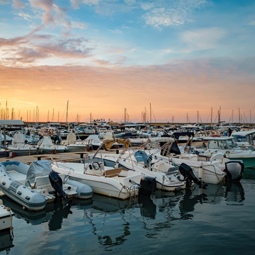 State-by-State NEC Adoption for Marinas 1 Introduction to NEC and Its Importance for Marinas