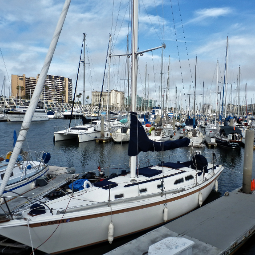 State-by-State NEC Adoption for Marinas 4 Practical Implications of NEC Compliance for Marina Stakeholders